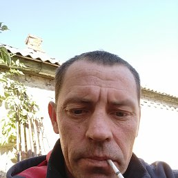 , 40, 