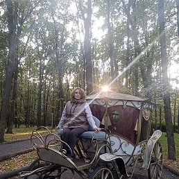 �����, ����, 53 ����