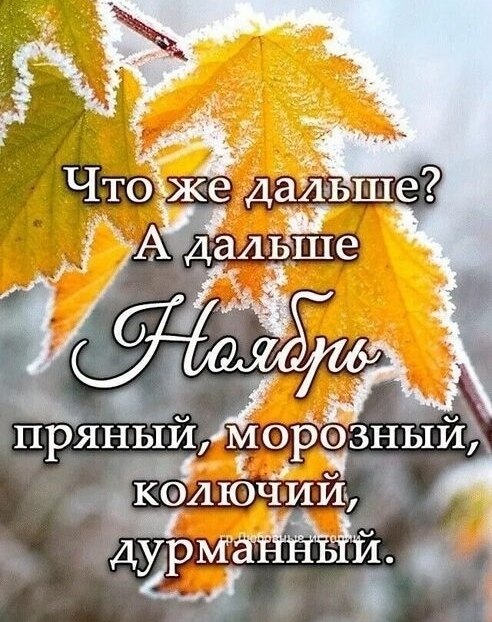   ,    . - 31  2025  13:26