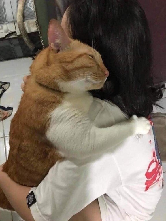   ,           . =>