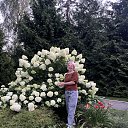 ���� ����, �����, 50 ��� - ��������� 17 �������� 2025 � ������ ����� ��� ������������