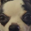 ���� ���������, ����, 23 ���� - ��������� 5 ������ 2024 � ������ ���� ����������