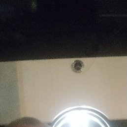 , 54, 