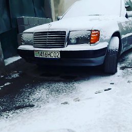 ����, �����-���������, 26 ���