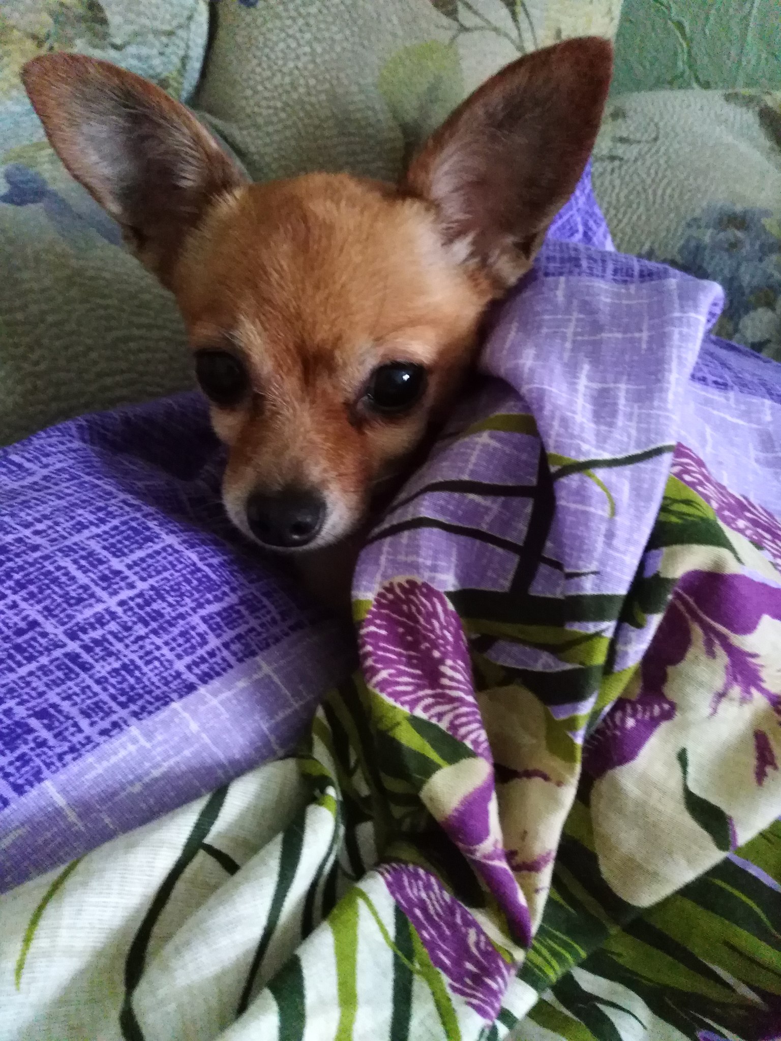 Olga - 13  2025  02:08