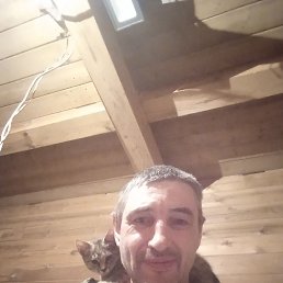 , 50, 