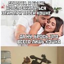 ���� ��������, �����������, 54 ���� - ��������� 13 ������� 2026 � ������ ������ ��������