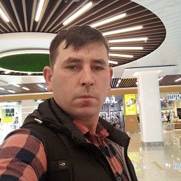 , 33, 