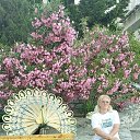 ���� ������, ������ - ��������� 8 ������� 2025 � ������ ���� ����������