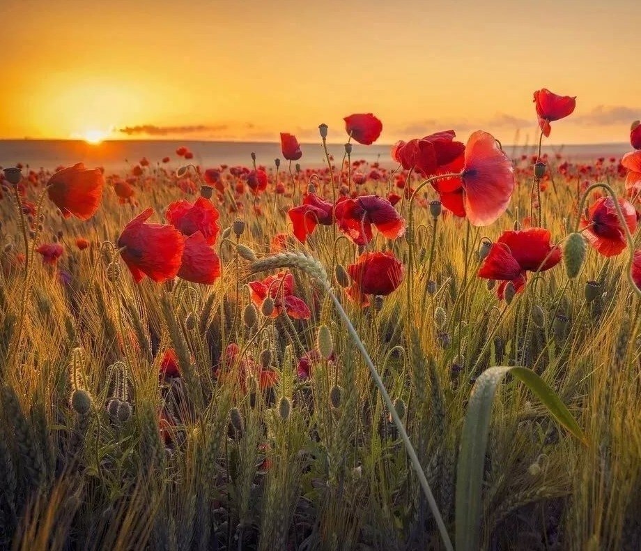 ������� � ����� � ����� ����. �������, ����� � �������. � ��������� ��������