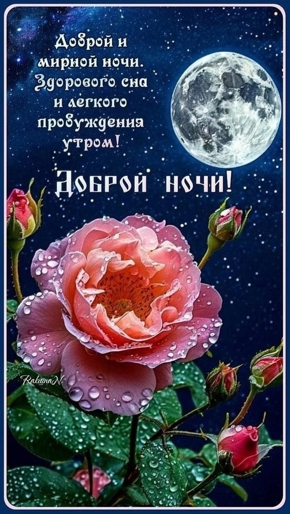 ��� ���� - 19 ������� 2025 � 00:56