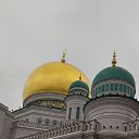 ���� ���, ������, 43 ���� - ��������� 12 ������ 2023 � ������ ���� ����������