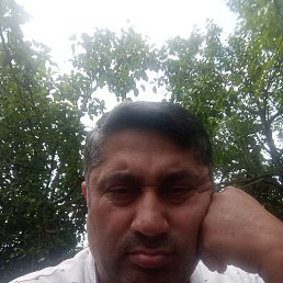  , 41, 