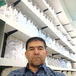 , 49 , 