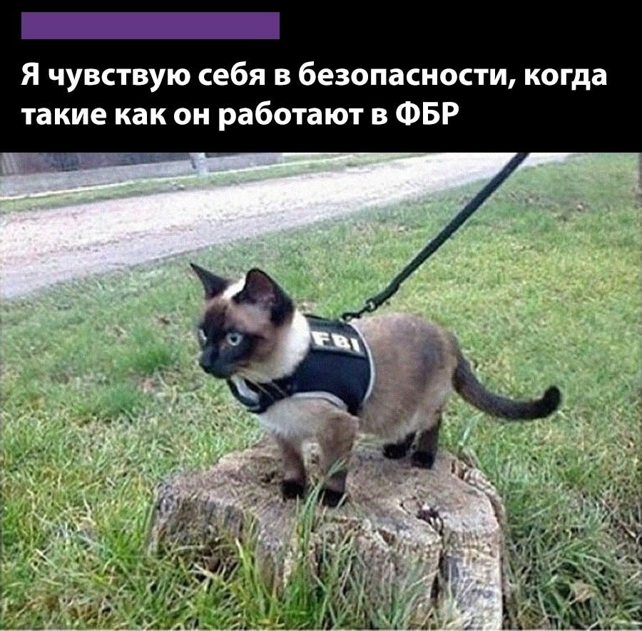    - 16  2025  16:37