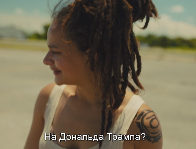   / American Honey, 2016.dir. Andrea Arnold - 3