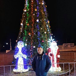 ���� ����, ��������, 62 ���� - ��������� 8 ������� 2024