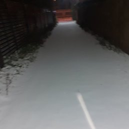 ���������, ������, 36 ���