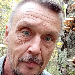 ������, ������, 53 ����