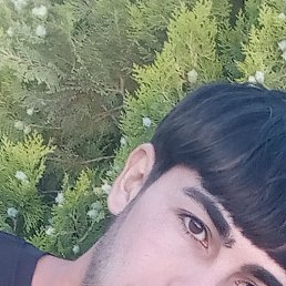 Bega, 28, 