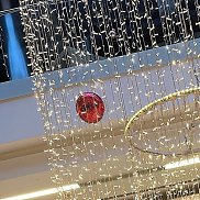 Said, 20 ���, ����