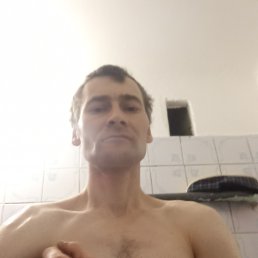 , 34, 