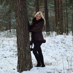 ���� �������, ������ ��������, 21 ��� - ��������� 11 ������� 2026