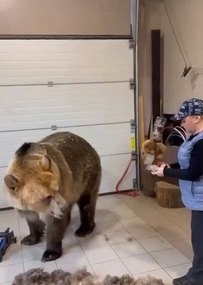 ����� ������ ������� �������! ���������, ���-������ �� ��� ������� �� ����������� �� ����� ...