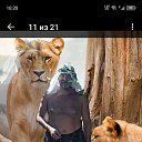 ���� ���������, �����, 53 ���� - ��������� 6 ������� 2026