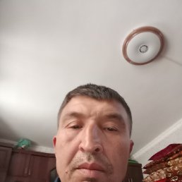 , 44, 