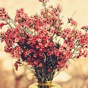 ���� �������, ������, 68 ��� - ��������� 15 ������� 2025