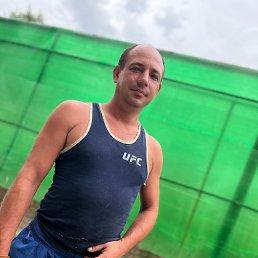 , 41, 