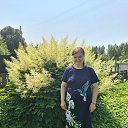 ���� ����, �����, 56 ��� - ��������� 29 ���� 2025 � ������ ���� ����������