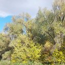 ���� �����, �������, 61 ��� - ��������� 6 ������� 2025 � ������ ������ 2025�