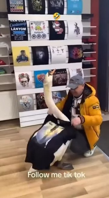   . ,  ! - 2