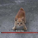 ���� �����, ����, 22 ���� - ��������� 10 ������ 2025 � ������ ���� ����������