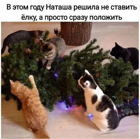   - 13  2023  10:36