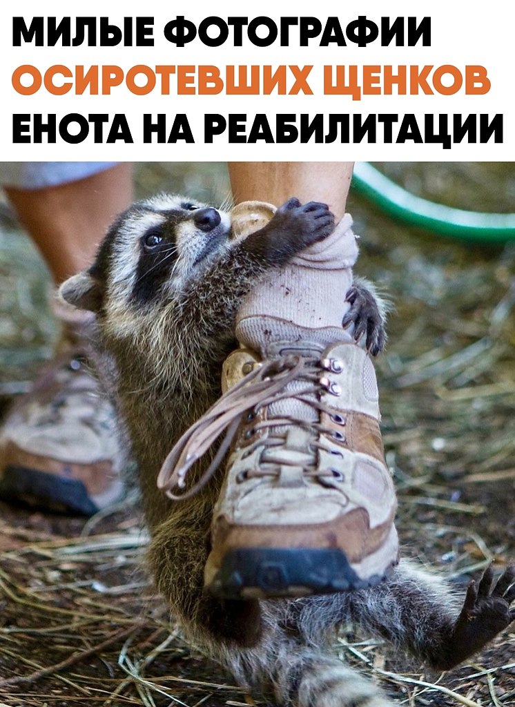 ����������� �� ������������ ����� �������� �������� ����������� ��������� ������ ������ � �������. ...