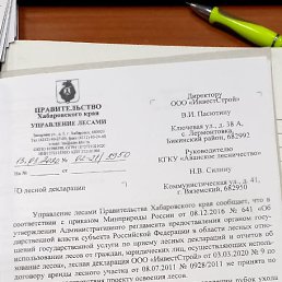 ���� ��������, ���������, 62 ���� - ��������� 1 ������� 2024