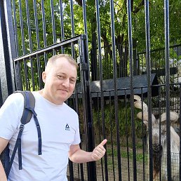 ����, ������, 45 ���