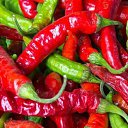 ���� �������, ������ - ��������� 7 ������� 2026 � ������ ������ ��������