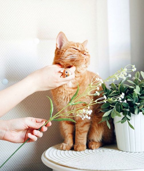  - ,   .  ,      , ,   ...