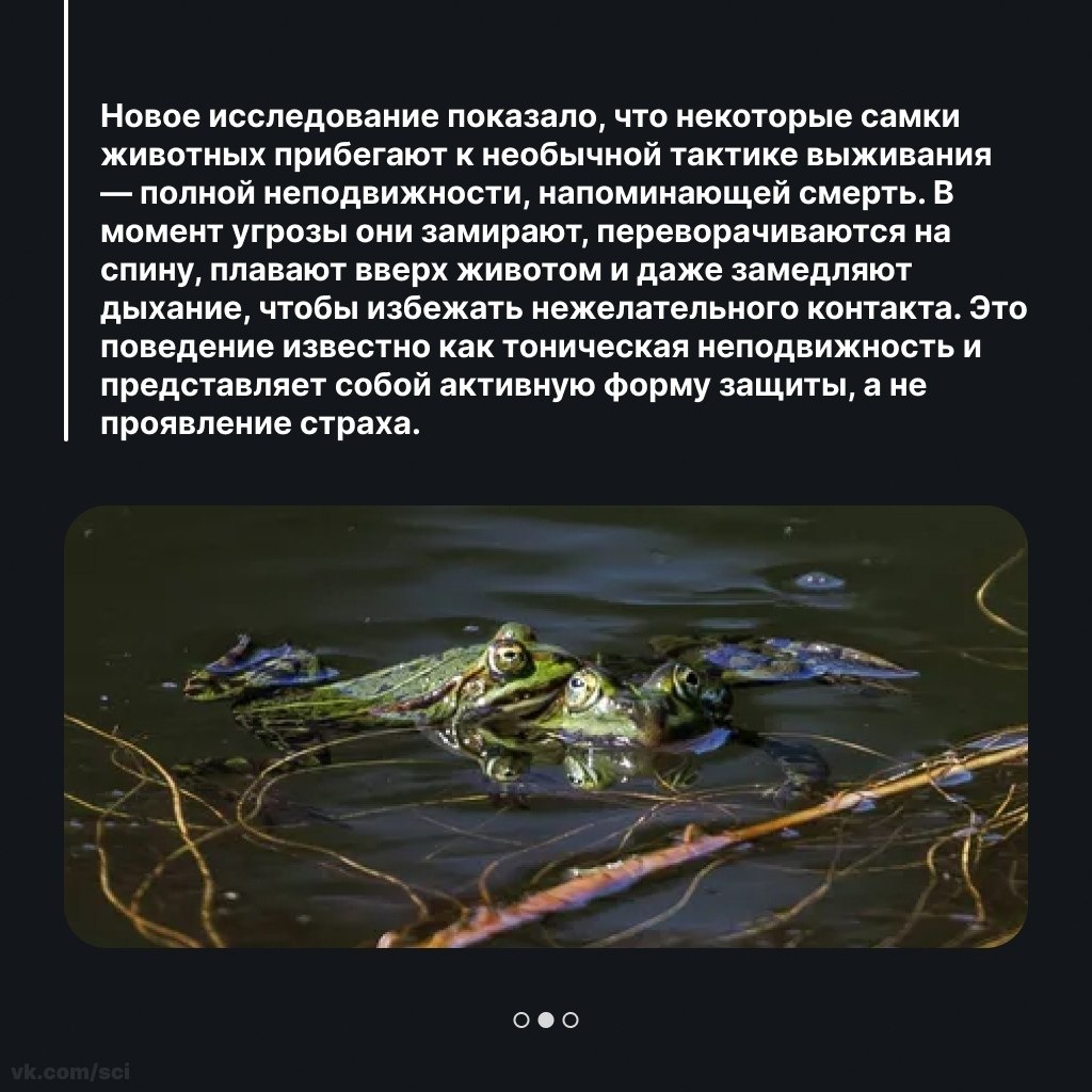 ����������� | ������ | ����� �� 5 - 8 ������ 2026 � 21:26 - 2