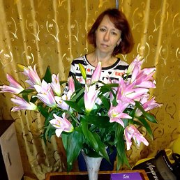 , 50, 