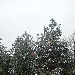 In, ������, 40 ���