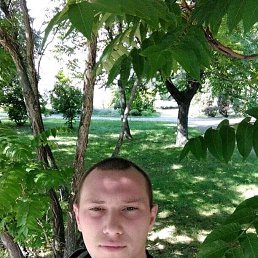 , 33, 