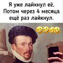  -, , 51  -  12  2025    