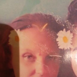, 39, 