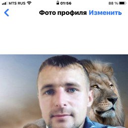 ���� ���������, �����������, 36 ��� - ��������� 18 ��� 2024