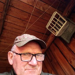 , 59,  